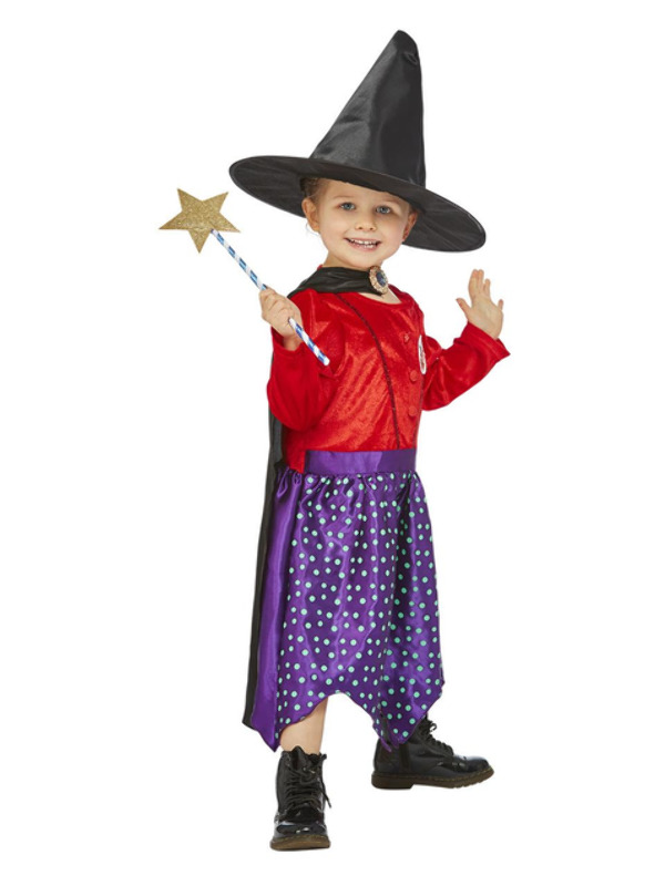 Julia Donaldson Room On The Broom Costume  - 51523S